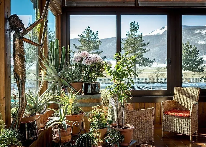 5miglia Hotel&spa 3*