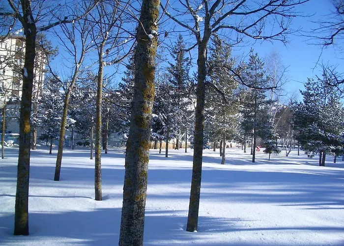 Hotel 5miglia Hotel&spa Rivisondoli